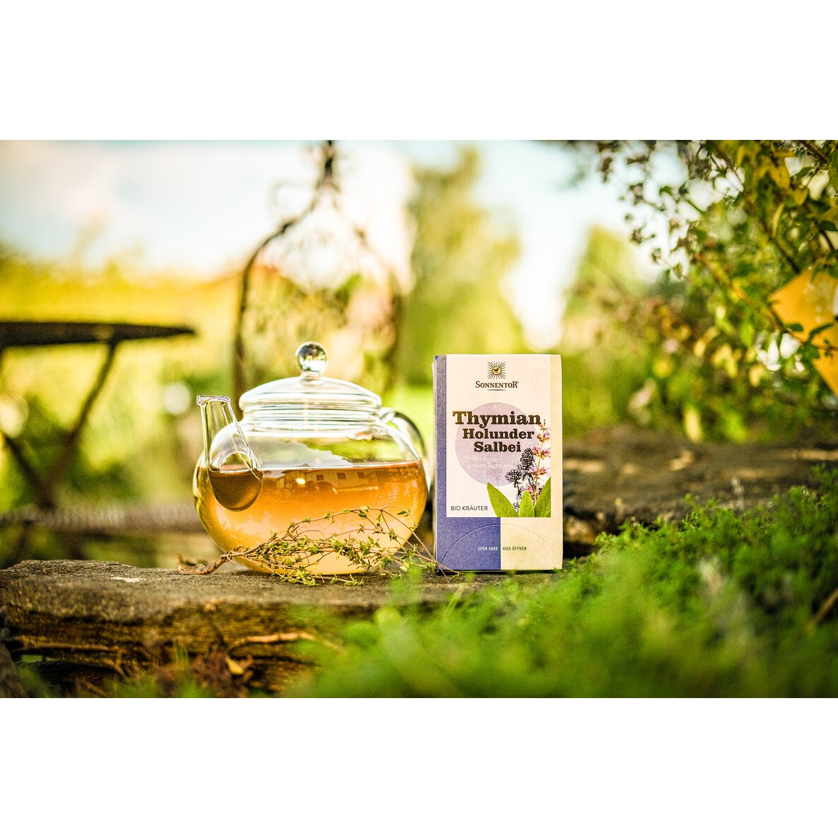 Thymian-Holunder-Salbei – Bild 2